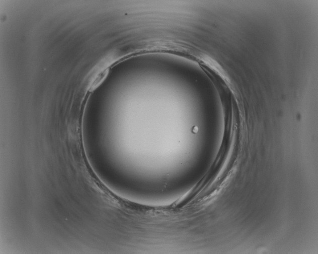 X0000063461089200601201239