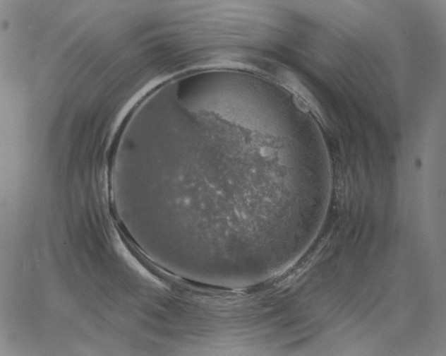 X0000063461092200601201239