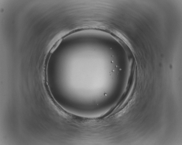 X0000063461093200601201239