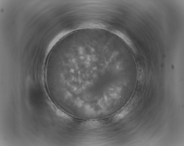 X0000063461094200601201239