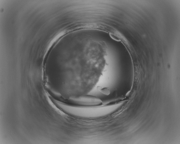 X0000063461095200601201239