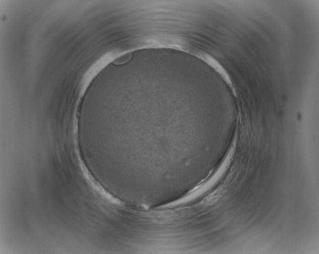 X0000063461096200601201239