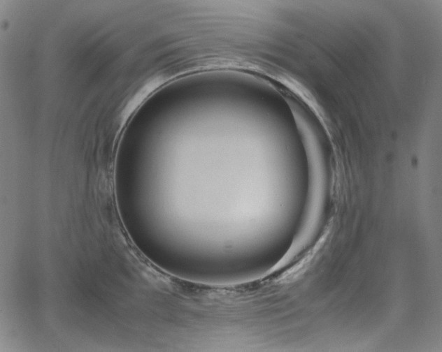 X0000063461097200601201239