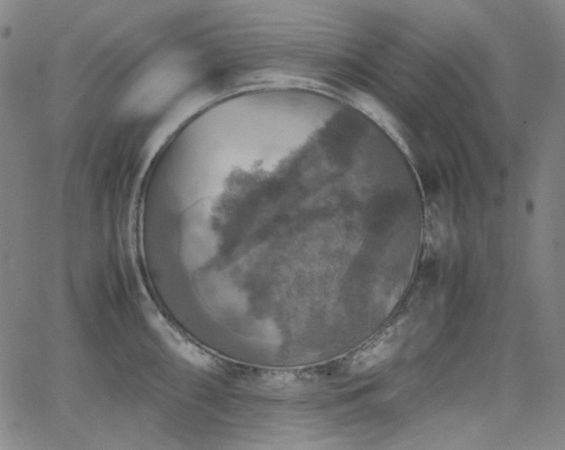 X0000063461098200601201239