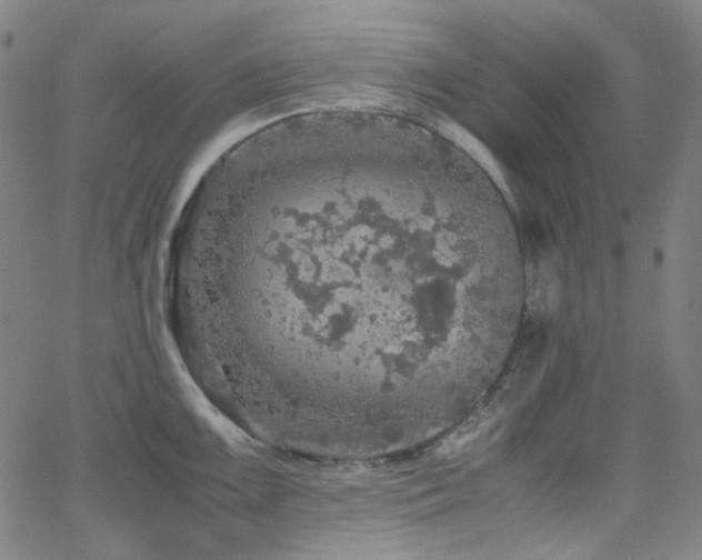 X0000063461099200601201239