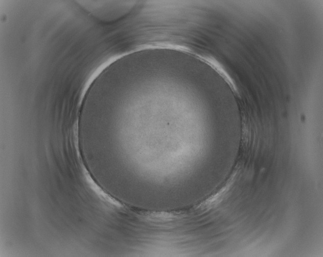 X0000063461100200601201239