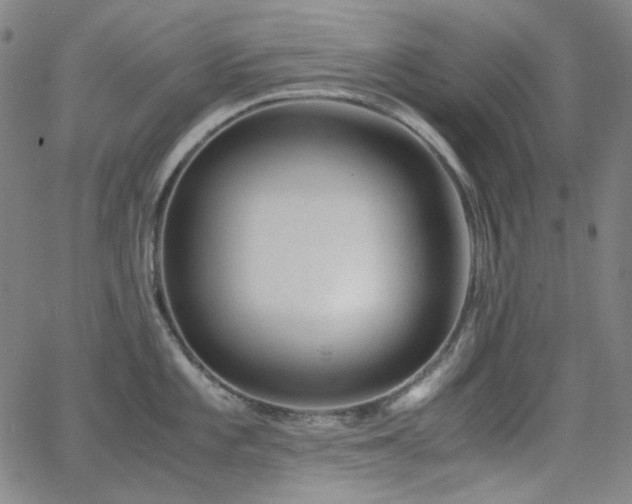 X0000063461101200601201239