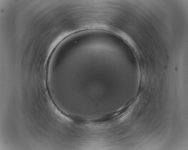 X0000063461102200601201239