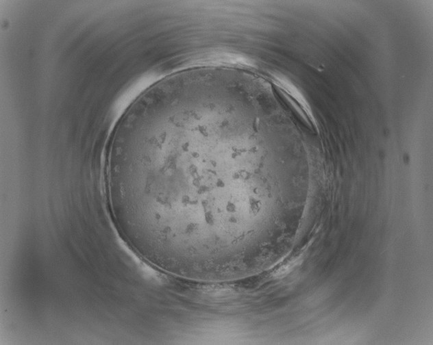 X0000063461103200601201239