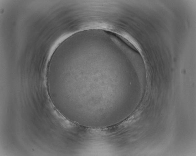 X0000063461104200601201239