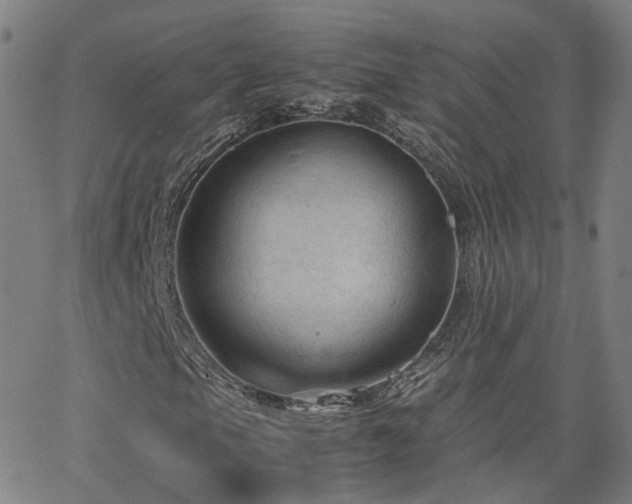 X0000063461105200601201238