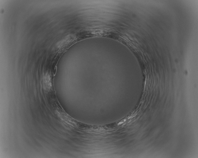 X0000063461106200601201238