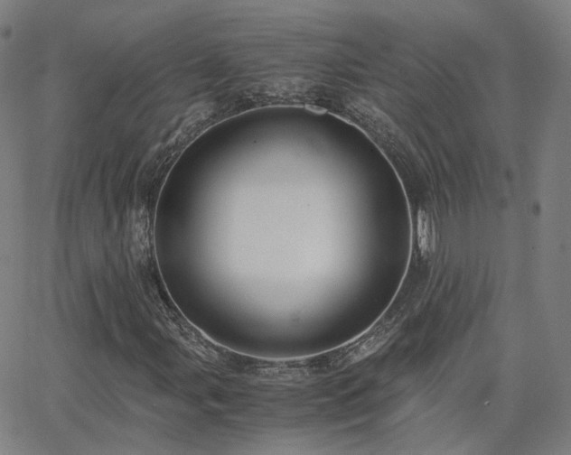 X0000063461107200601201239