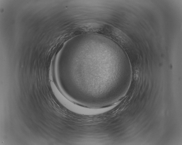 X0000063461108200601201239