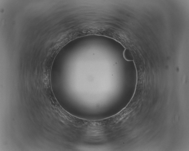 X0000063461109200601201239