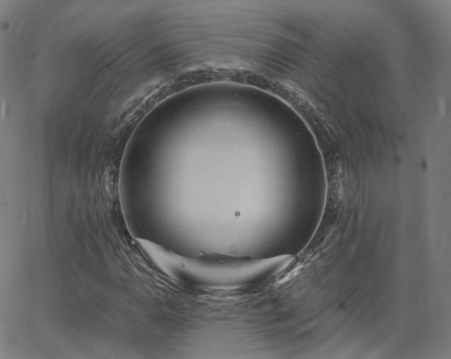 X0000063461110200601201239