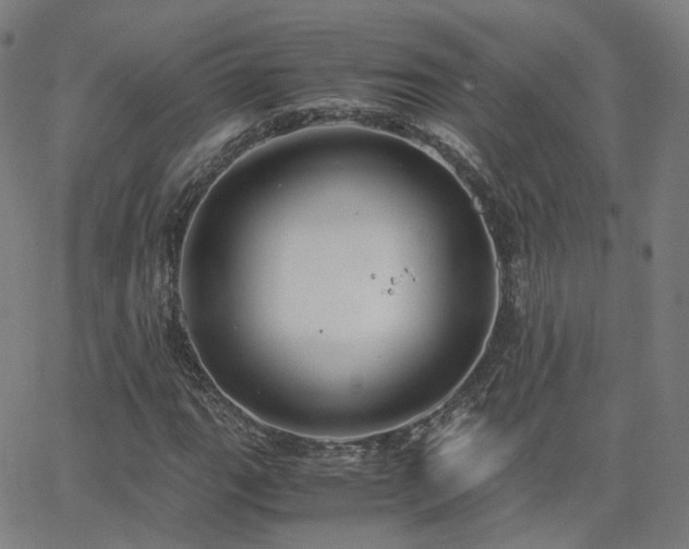 X0000063461111200601201239