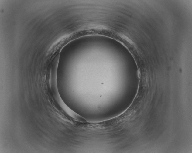 X0000063461112200601201239