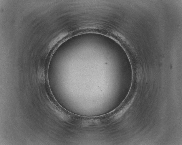 X0000063461113200601201239