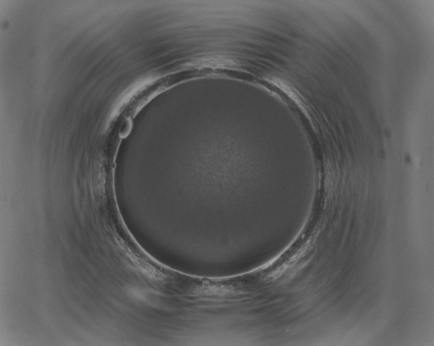 X0000063461115200601201239