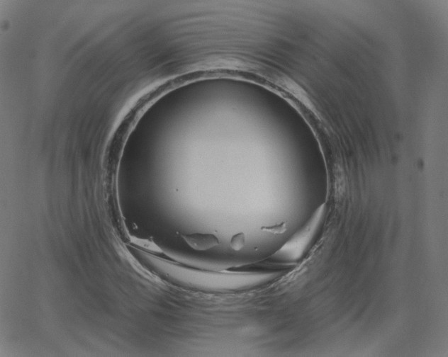 X0000063461116200601201239