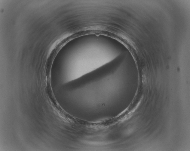 X0000063461117200601201239