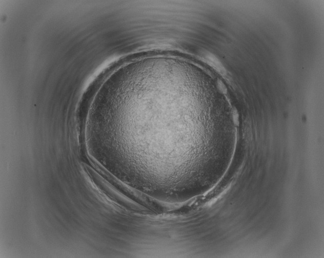 X0000063461118200601201239