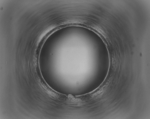 X0000063461119200601201239