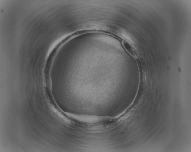 X0000063461120200601201239