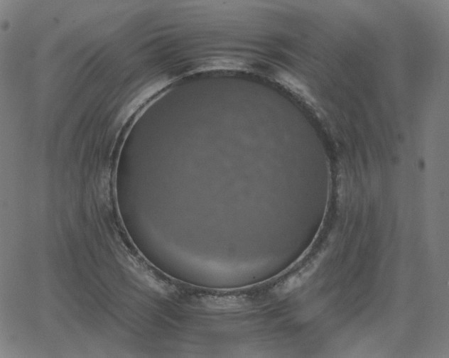 X0000063461121200601201239