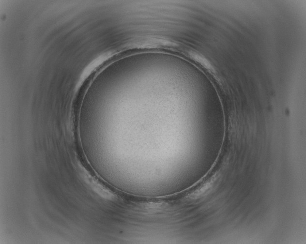 X0000063461122200601201239