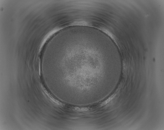 X0000063461123200601201239