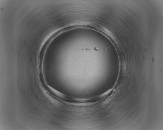 X0000063461124200601201239