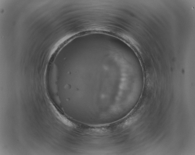 X0000063461125200601201239