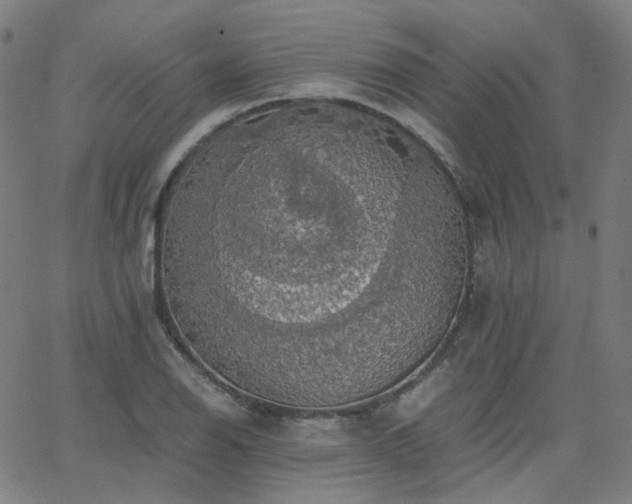 X0000063461126200601201239