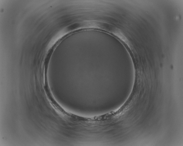 X0000063461127200601201239