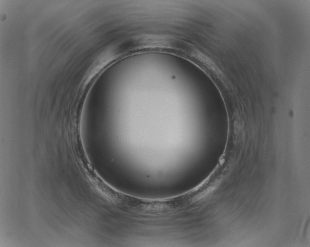 X0000063461129200601201239