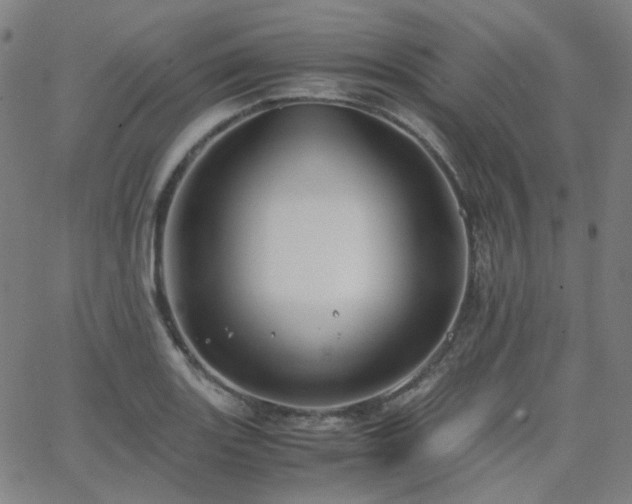 X0000063461131200601201239