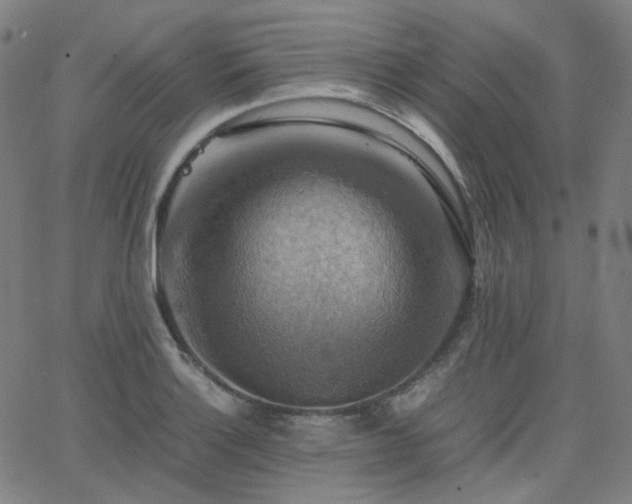 X0000063461132200601201239