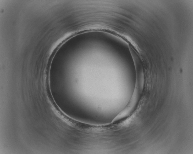 X0000063461134200601201239