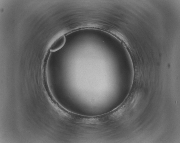 X0000063461135200601201239