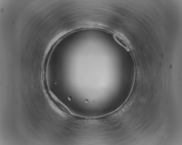 X0000063461136200601201239