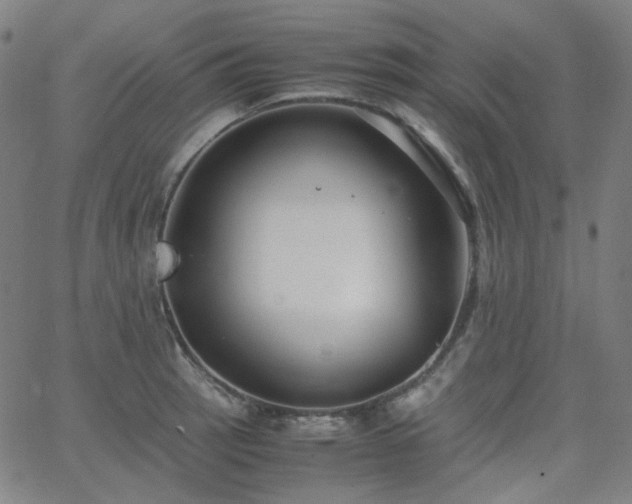 X0000063461137200601201239