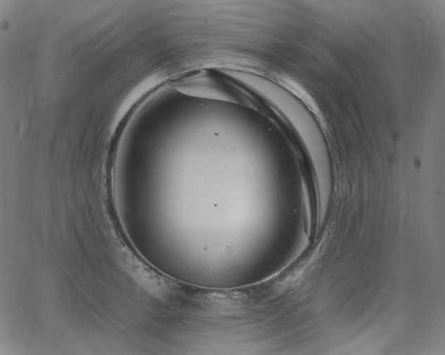 X0000063461138200601201239