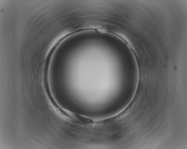 X0000063461139200601201239