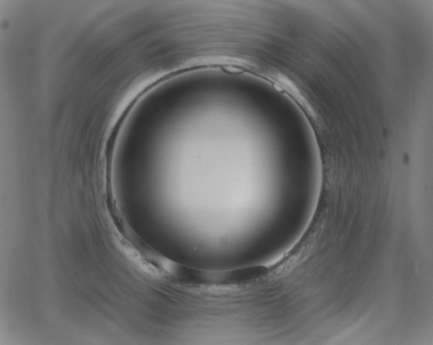 X0000063461140200601201239