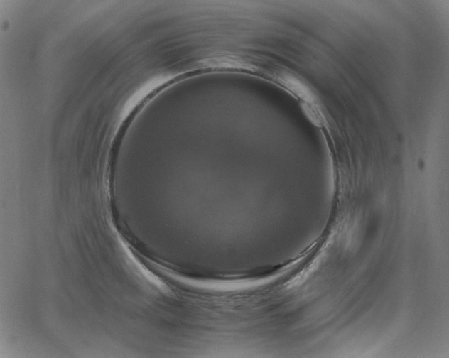 X0000063461141200601201239