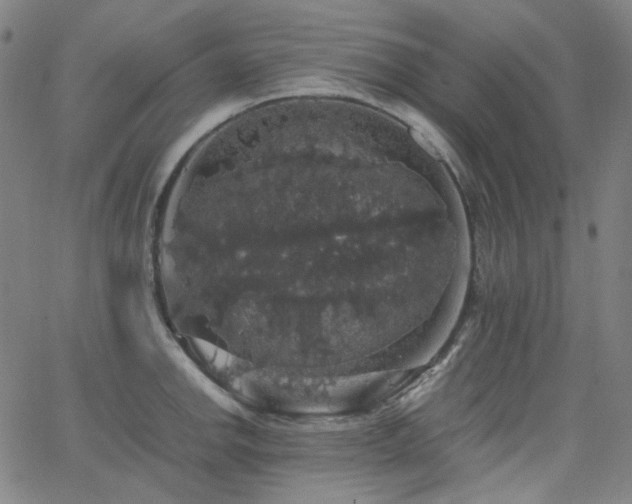 X0000063461142200601201239