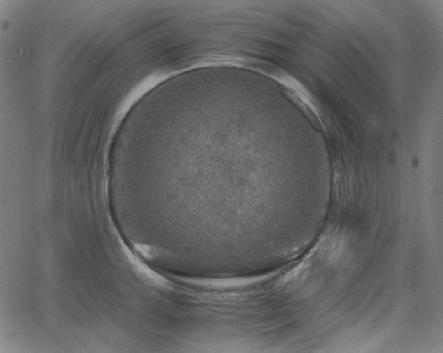 X0000063461143200601201239