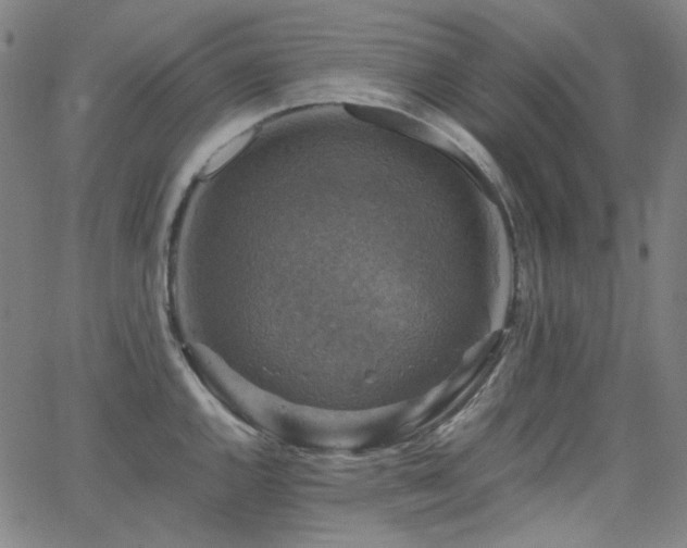 X0000063461144200601201239